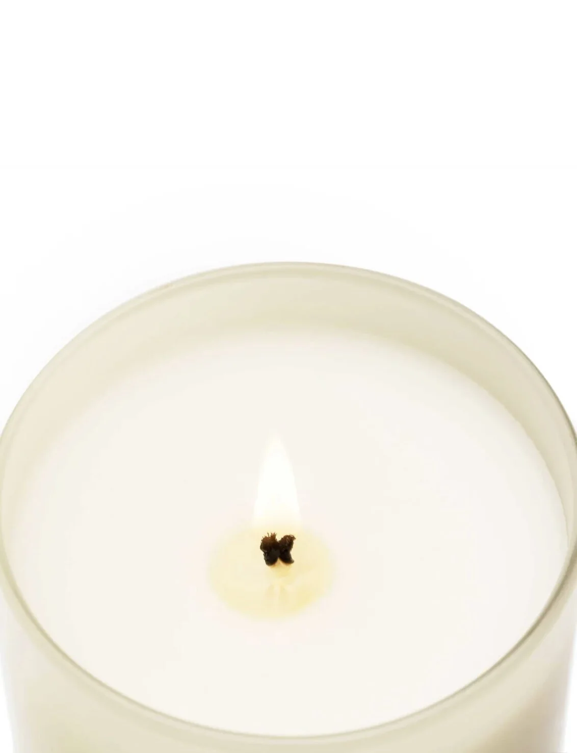 Black Orchid & Lily снимка 4